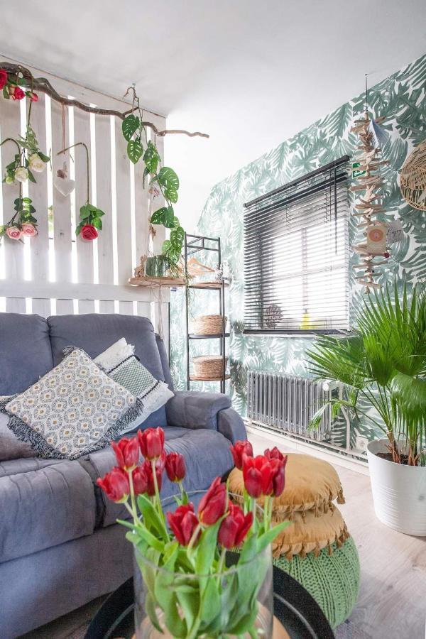 Zalig Cosy Appartement 2-4 Pers.Fietsen & Tuin De Haan Zewnętrze zdjęcie