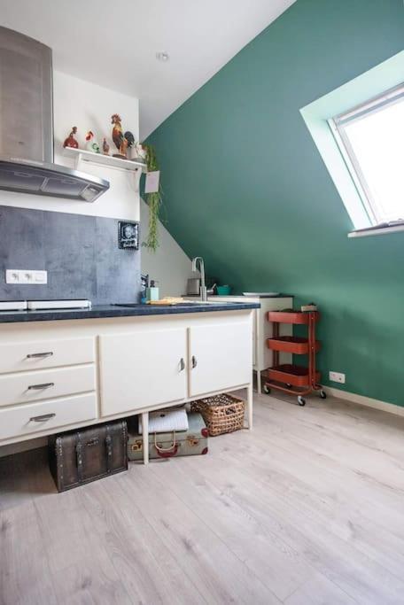 Zalig Cosy Appartement 2-4 Pers.Fietsen & Tuin De Haan Zewnętrze zdjęcie